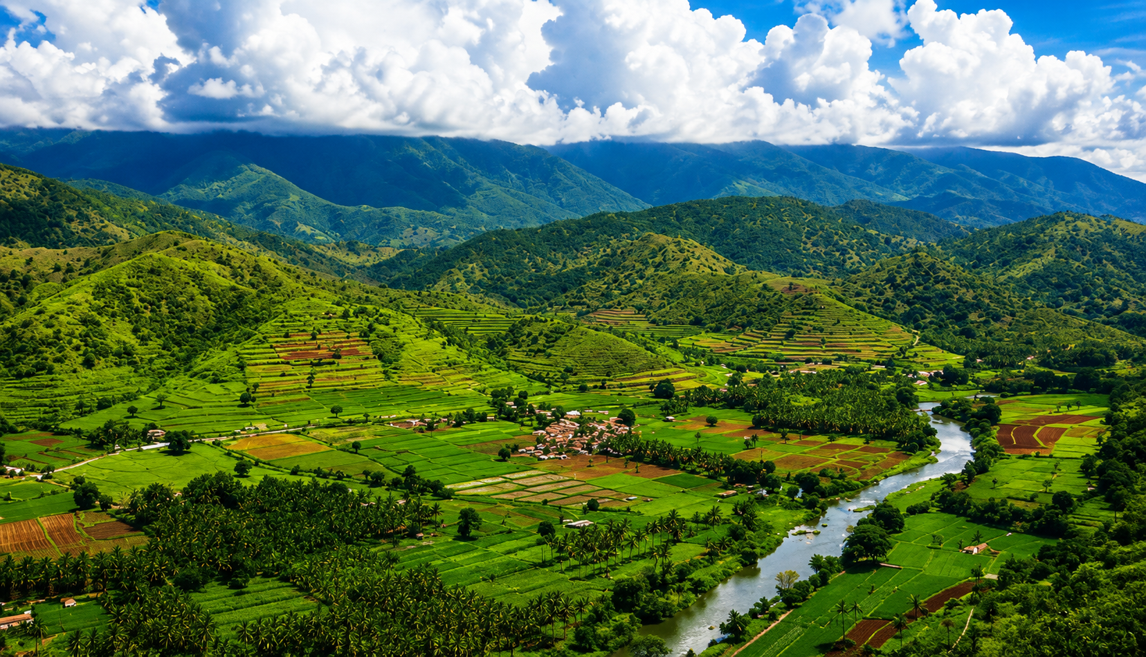 Palakkad Harmony