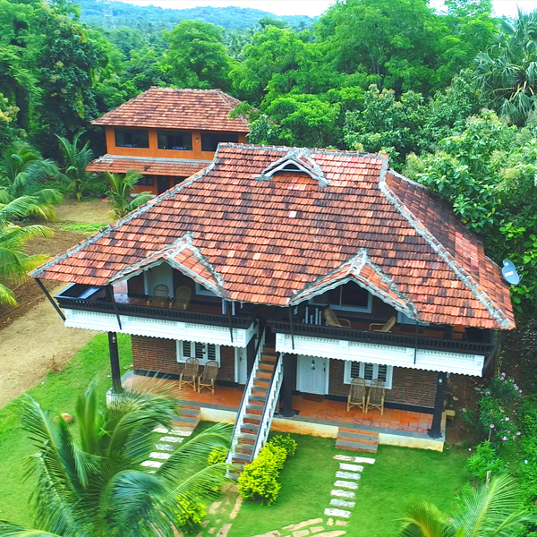 Mangovillage-image2
