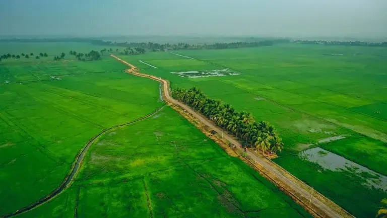 Agricultural workshops
