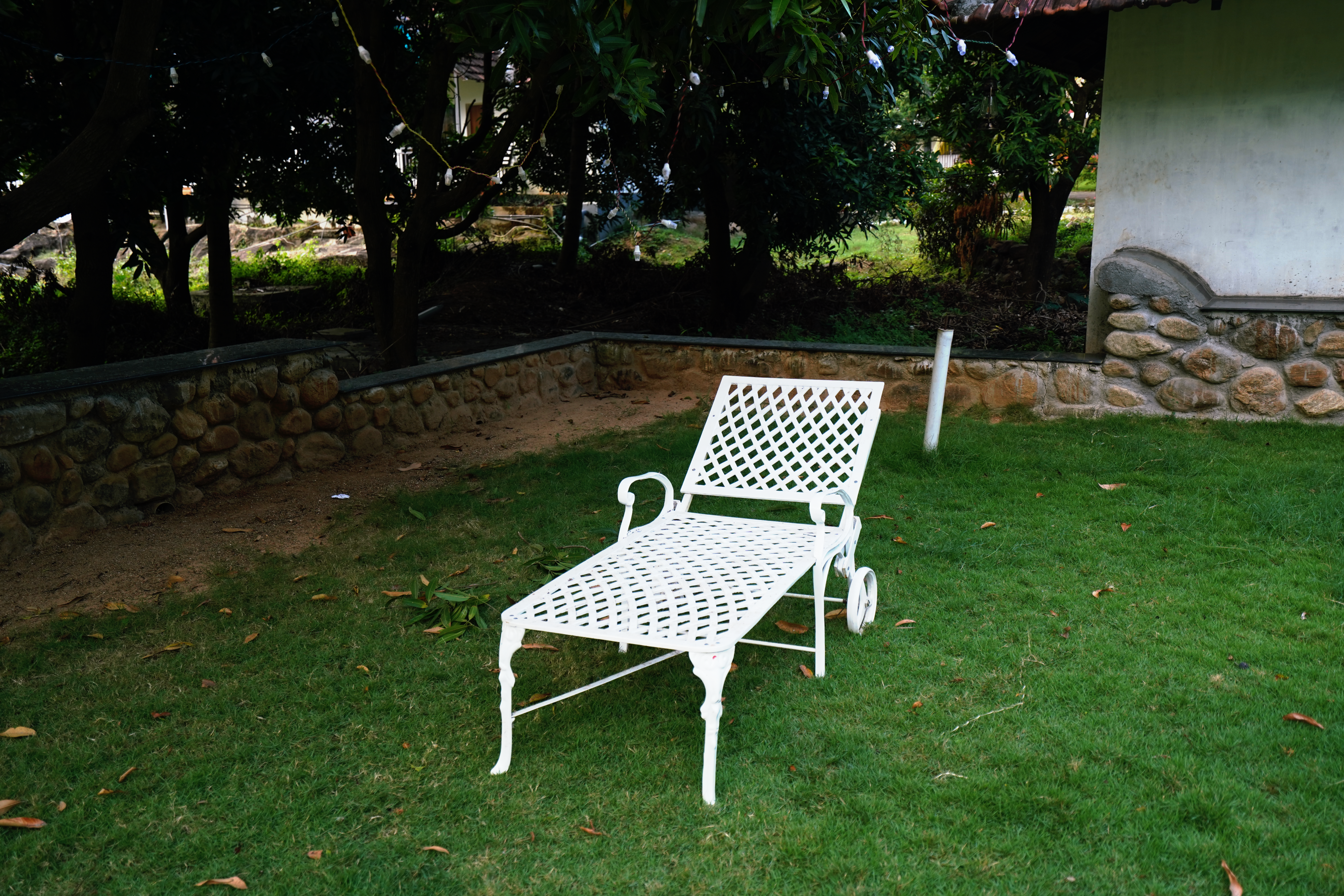 Sitting area under mango tree