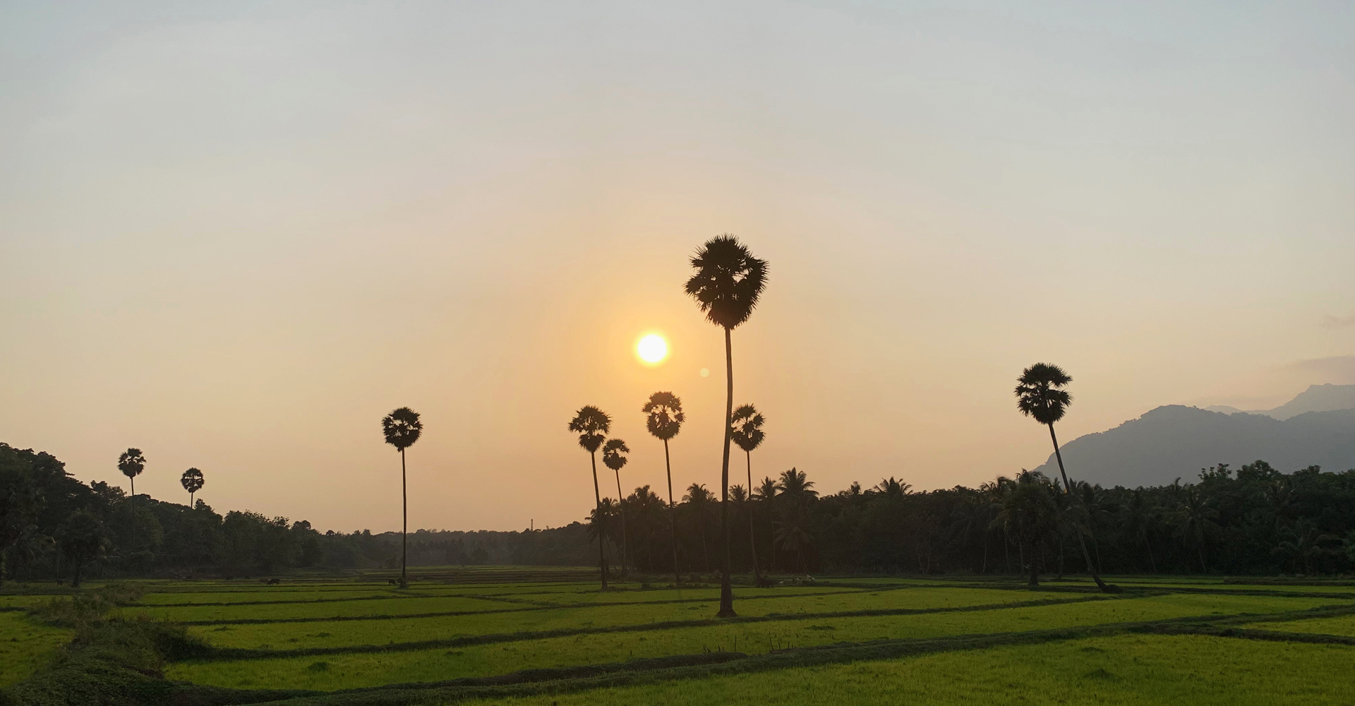 Palakkad tourism Palakkad tourism