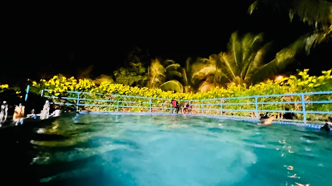 Swimming Pool With Yellow Flower