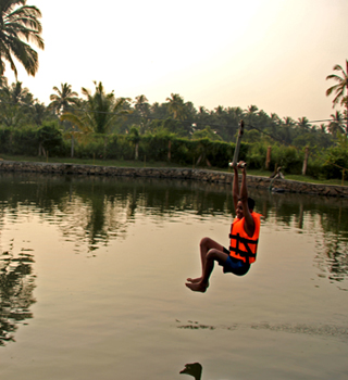 Activities in Palakkad